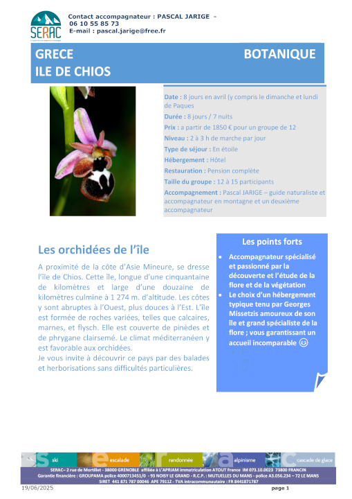 chios primula 2026 720px