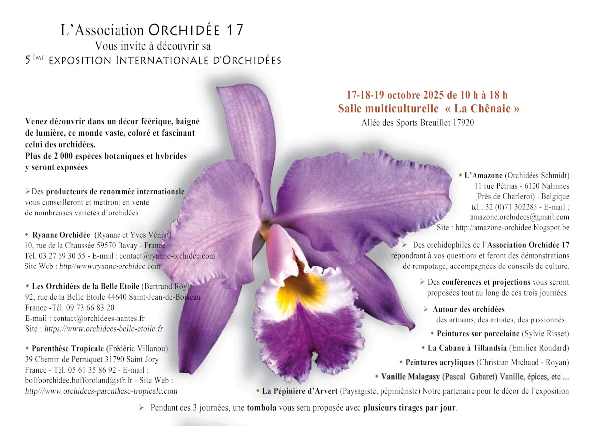 flyer Breuillet 2025 p2 3 1200px