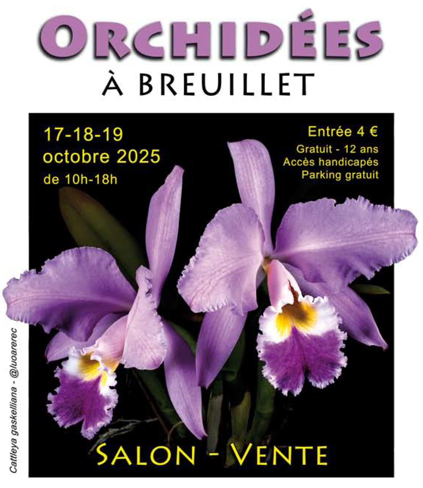 orchidees a breuillet