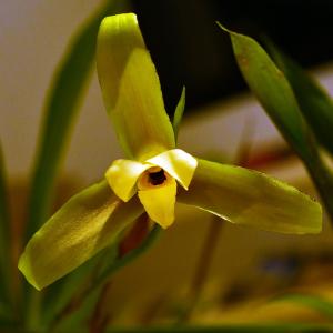images/articles/2025/atelier-exotiques/Atelier exotiques 3-min.jpg