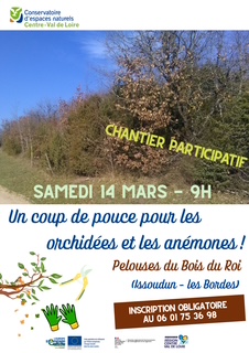 Affiche Bois du Roi Chantiers mars 2026